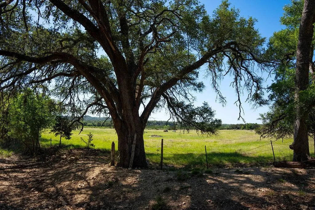 1294 Crabapple Road Blanco TX 78606