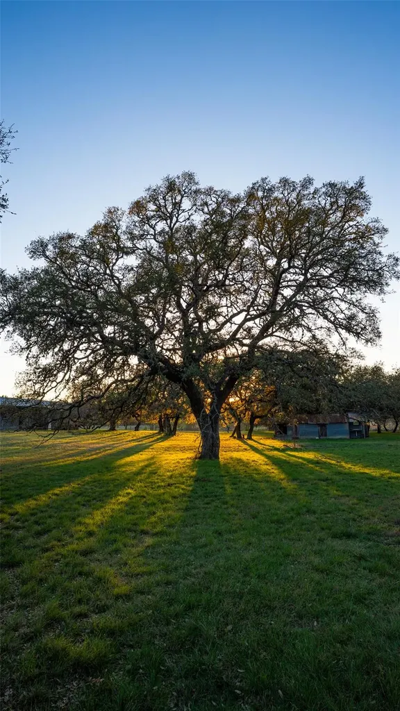 1294 Crabapple Road Blanco TX 78606