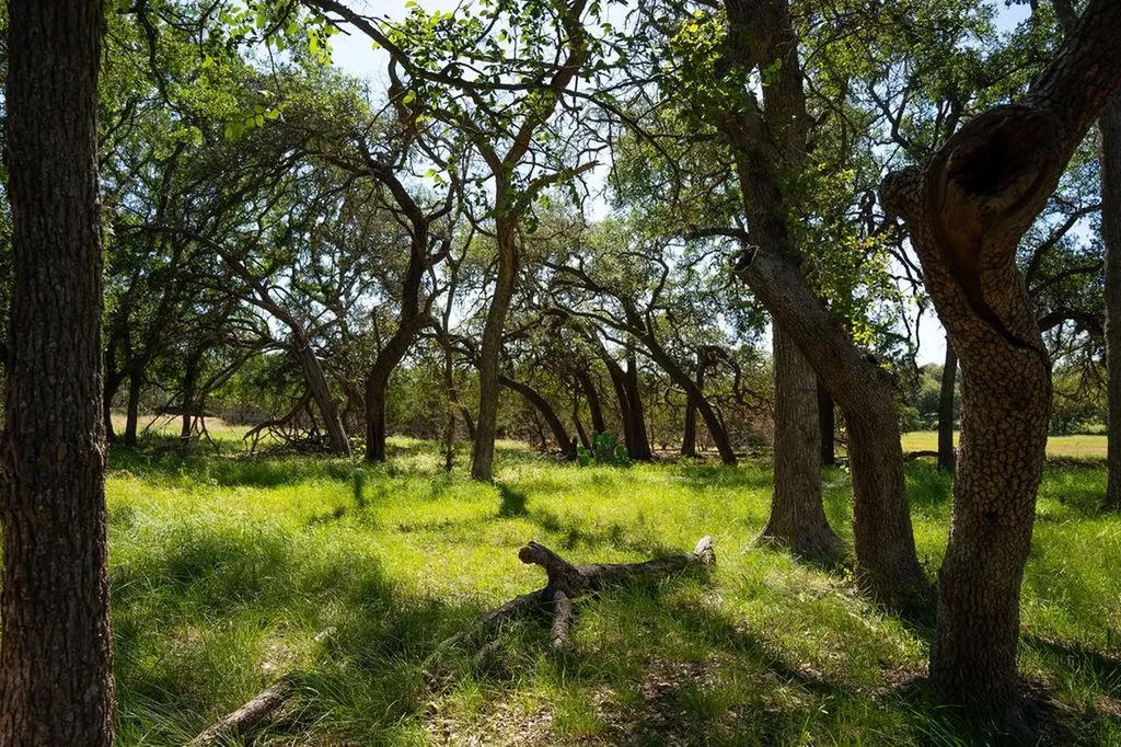 1294 Crabapple Road Blanco TX 78606