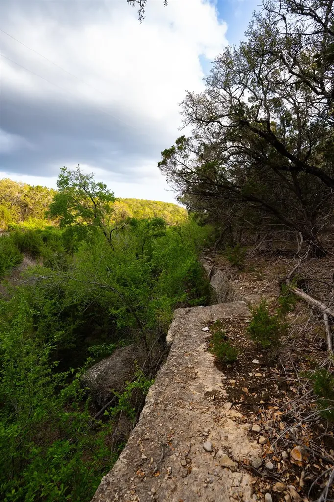 1294 Crabapple Road Blanco TX 78606