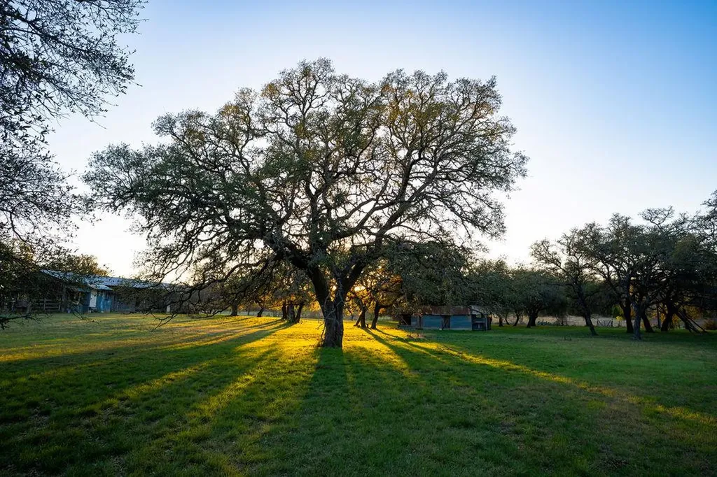 1294 Crabapple Road Blanco TX 78606