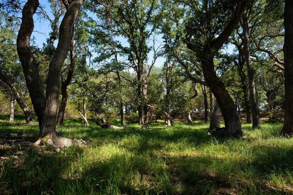 1294 Crabapple Road Blanco TX 78606