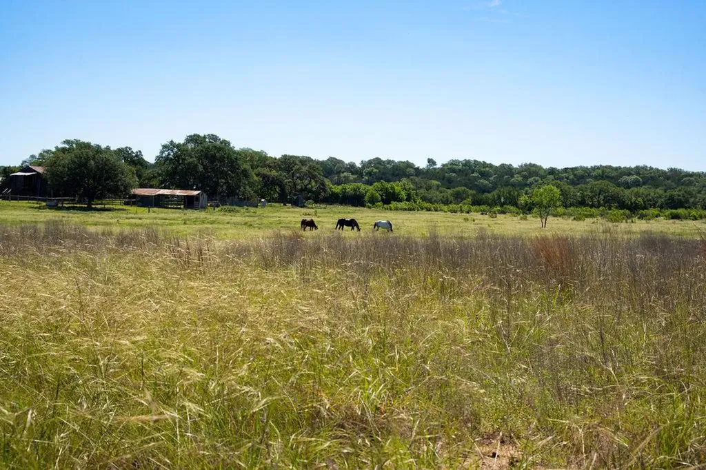 1294 Crabapple Road Blanco TX 78606