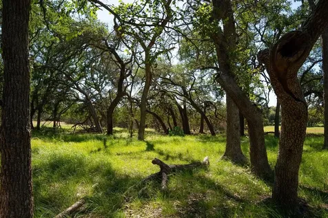 1294 Crabapple Road Blanco TX 78606