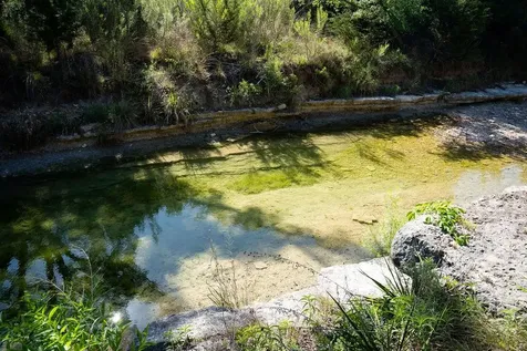 1294 Crabapple Road Blanco TX 78606