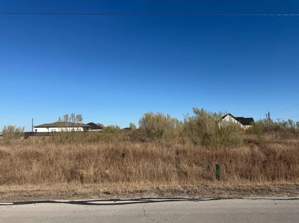 109 Desperado Loop Del Valle TX 78617