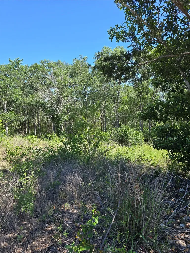 693 Santa Teresa Road Kyle TX 78640