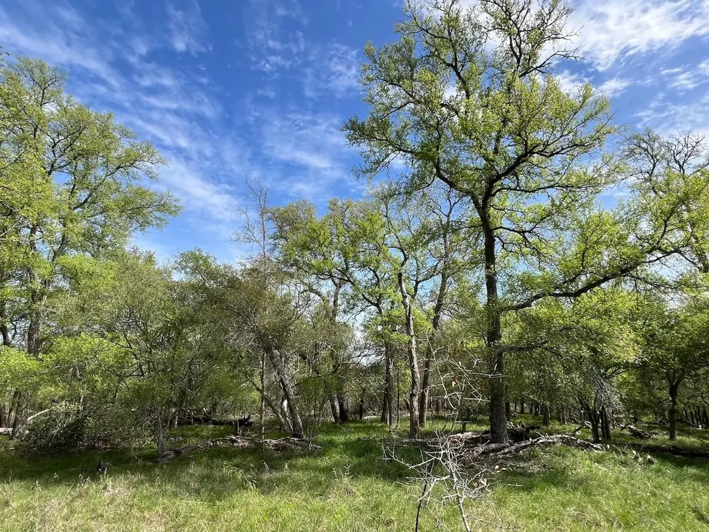 Tbd Cunningham Drive Lockhart TX 78644