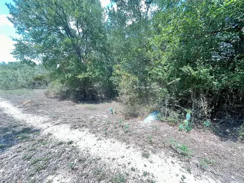 312 Blue Flame Road Cedar Creek TX 78612
