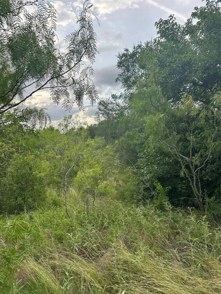3 Lehman Road Kyle TX 78640