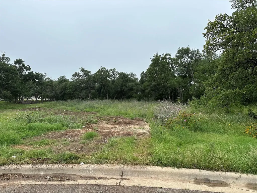 505 Milk Thistle Cove Georgetown TX 78628