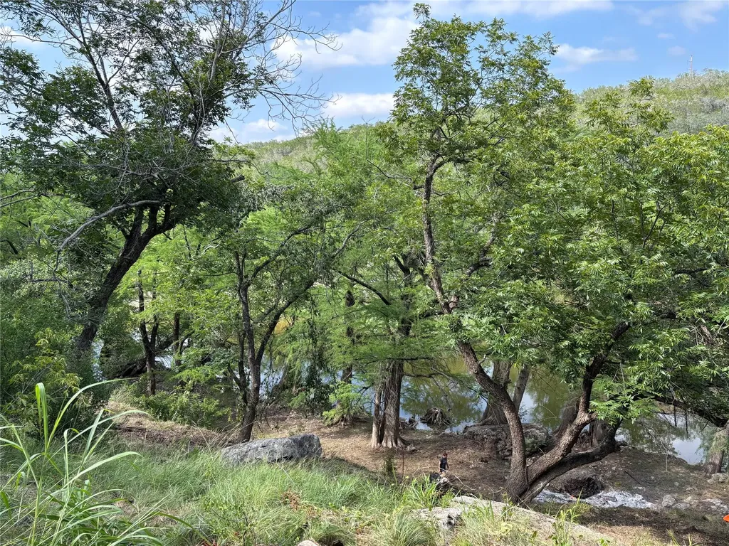 172 Bluff Trail Dripping Springs TX 78620