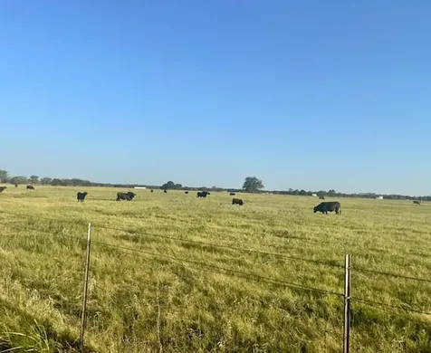 Tbd Cr 358 Gause TX 77857