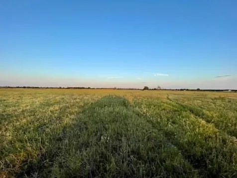 Tbd Cr 358 Gause TX 77857