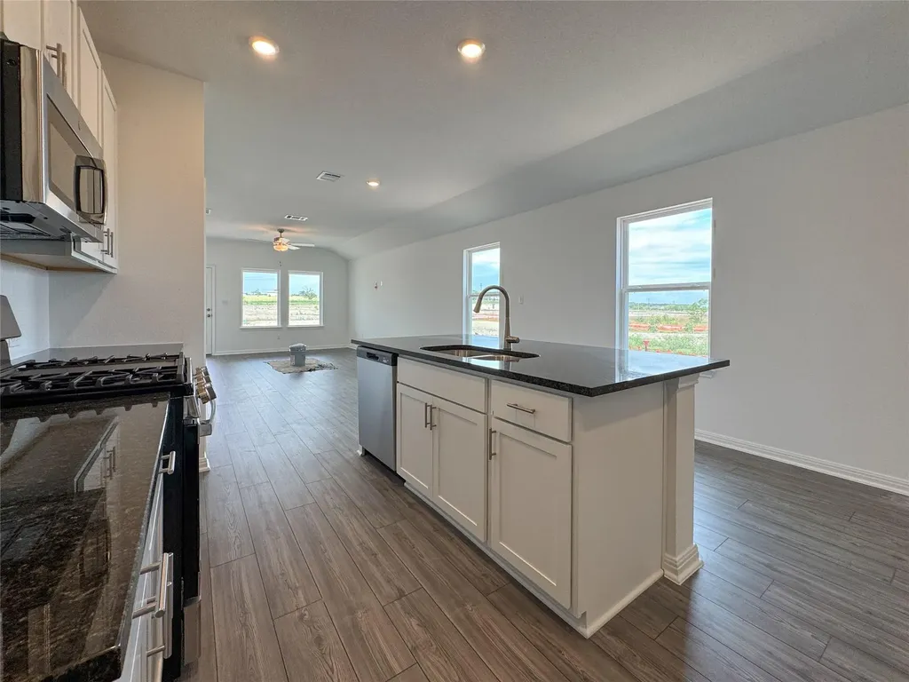 207 Bayou Mint Boulevard Buda TX 78610