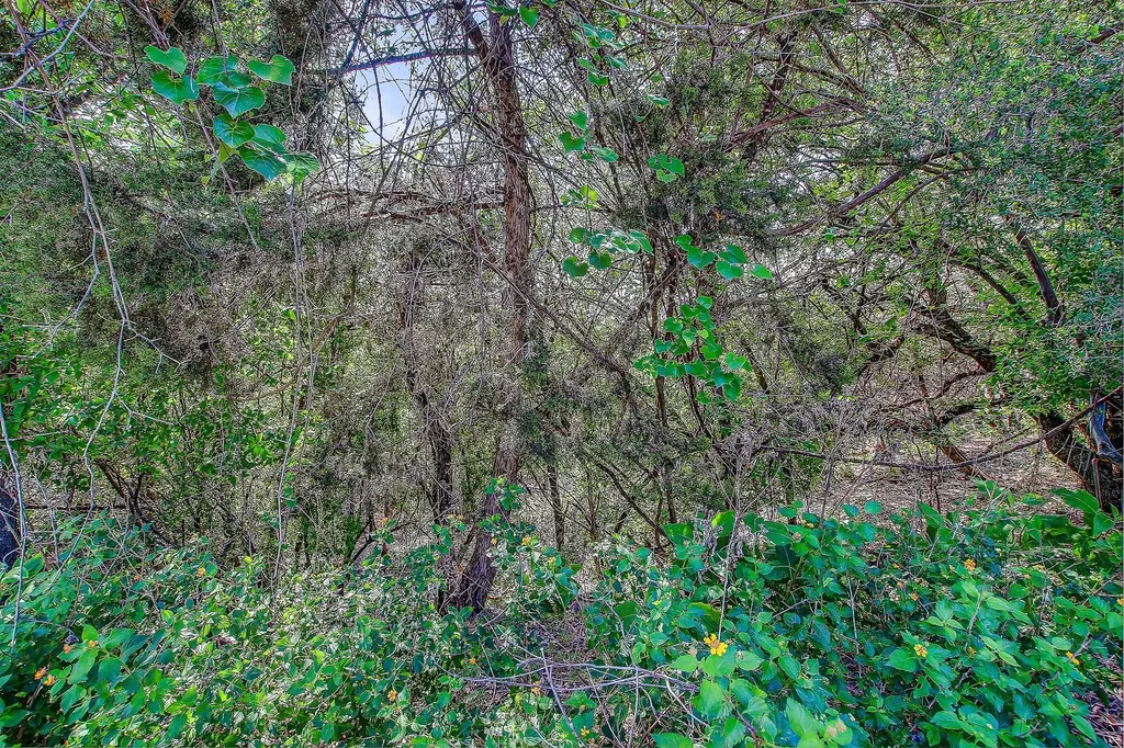 400 Lakefront Drive Lago Vista TX 78645
