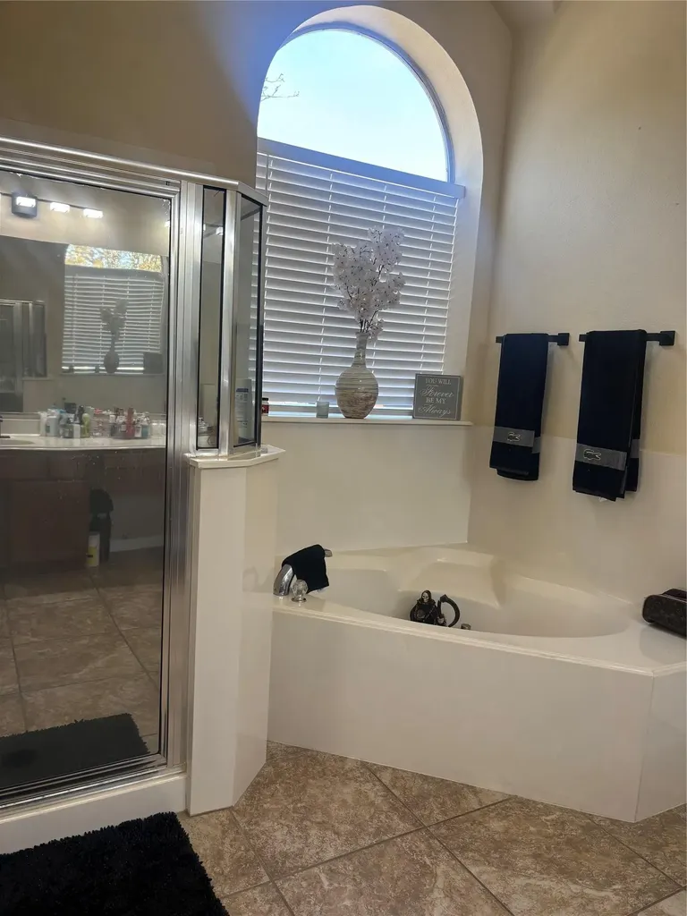 13600 Amber Dawn Court Manor TX 78653
