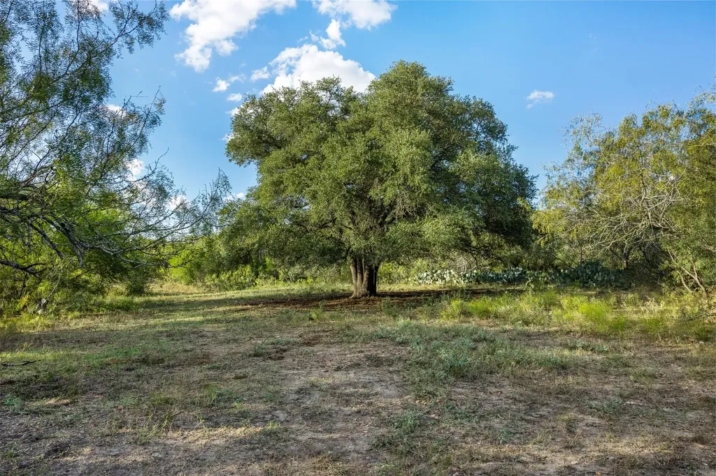 399 Seals Creek Road Lockhart TX 78644