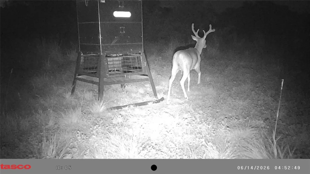 3366 Cr 419 Evant TX 76525