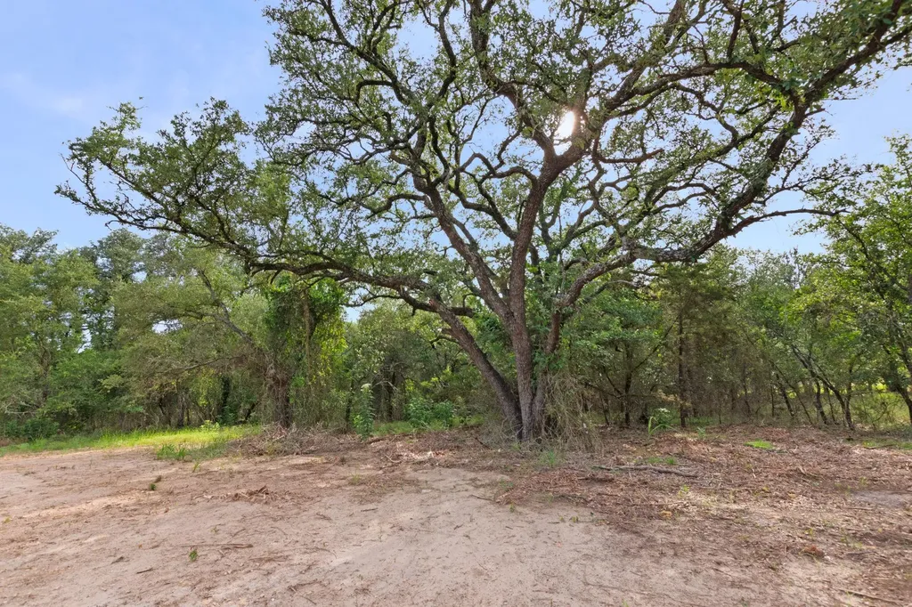 12200 Private Road 3641 Kempner TX 76539
