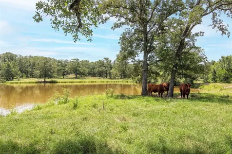 6750 Three Mile Road Flatonia TX 78941