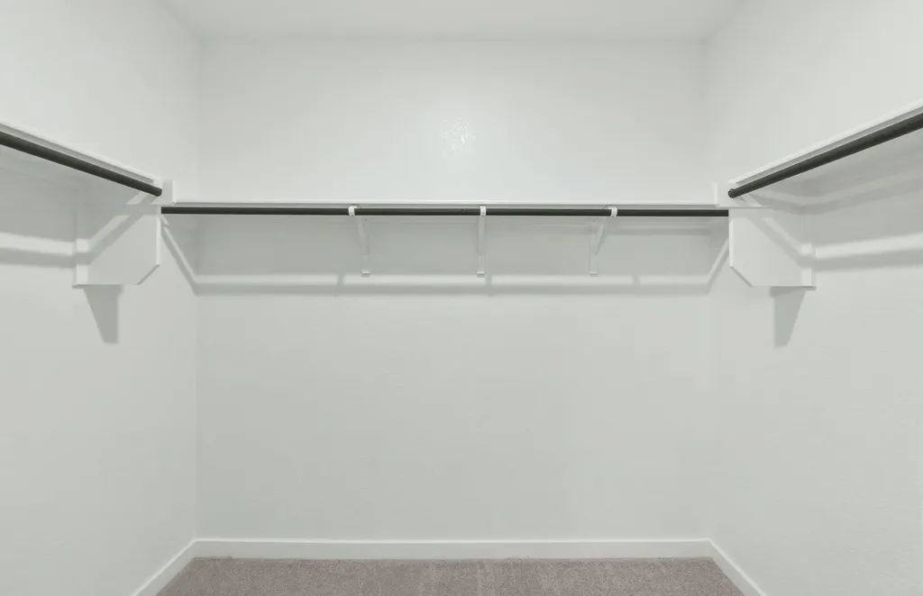5103 Monarda Mint Drive Austin TX 78653
