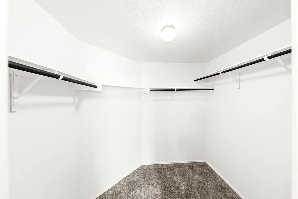 3416 Pauling Loop Round Rock TX 78665