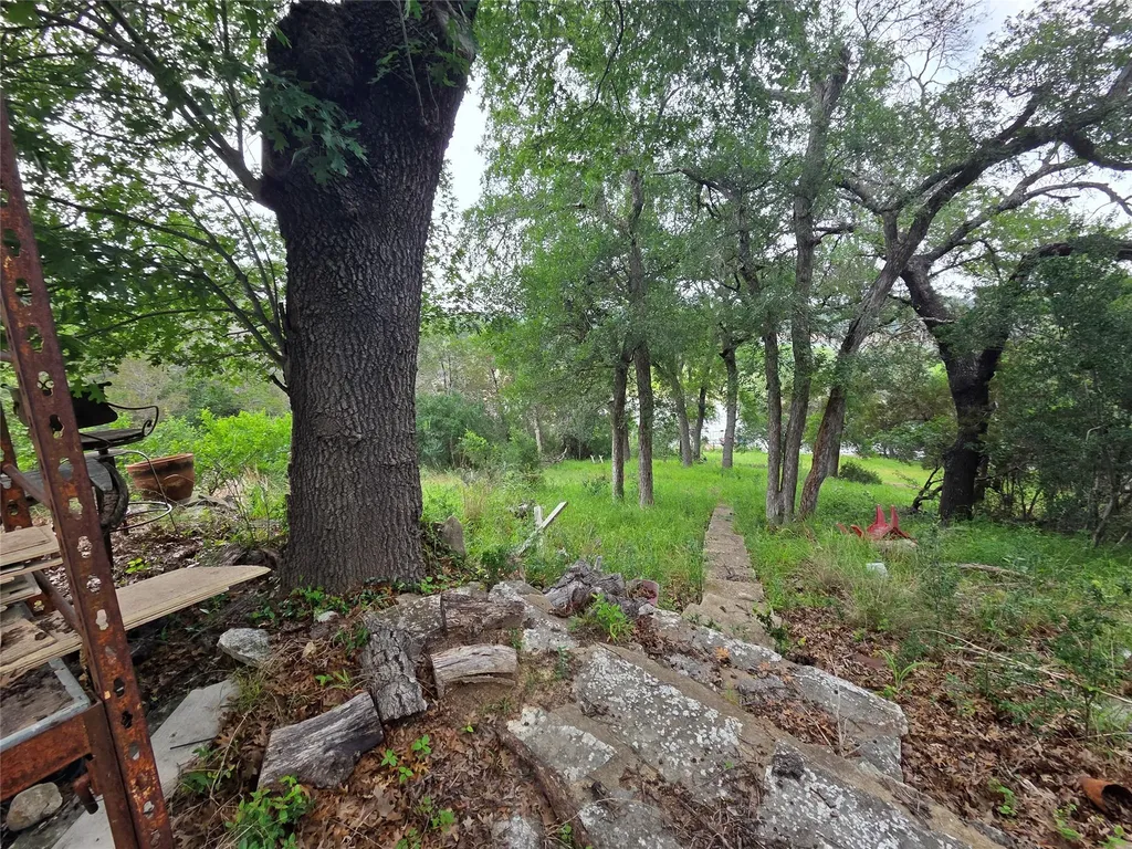 25408 Cove Drive Spicewood TX 78669