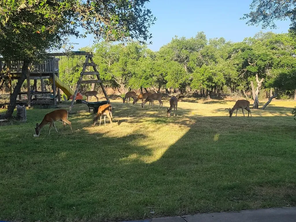 1610 County Road 262 Georgetown TX 78633