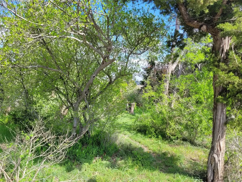 19920 Siesta Shores Drive Spicewood TX 78669