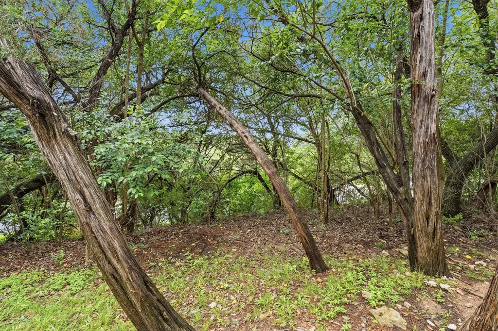 4305 Bonnell Vista Cove Austin TX 78731