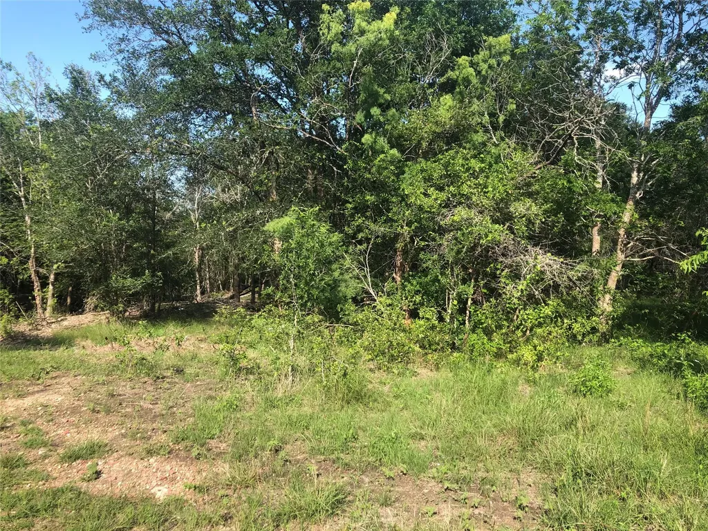 13414 Elm Grove Road Buda TX 78610