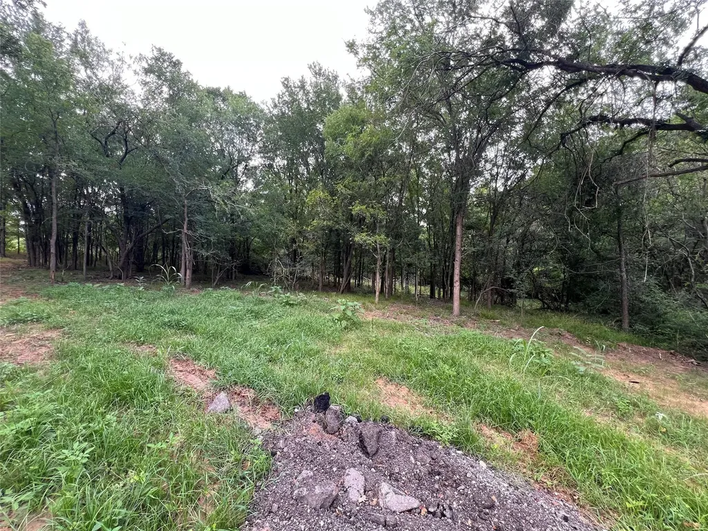 Tbd Fm 3000 Tract 1 Elgin TX 78621