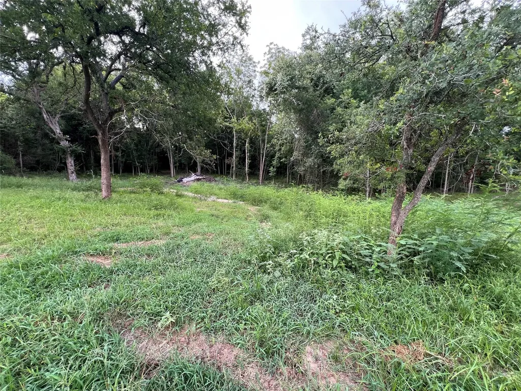 Tbd Fm 3000 Tract 1 Elgin TX 78621