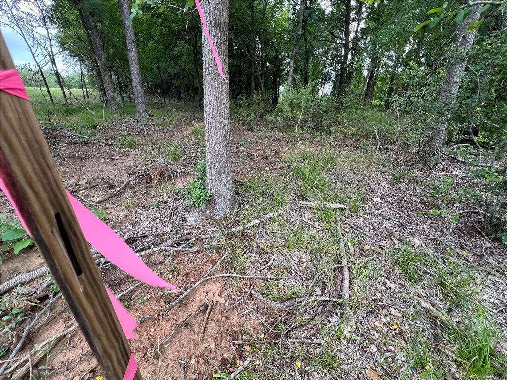 Tbd Fm 3000 Tract 1 Elgin TX 78621