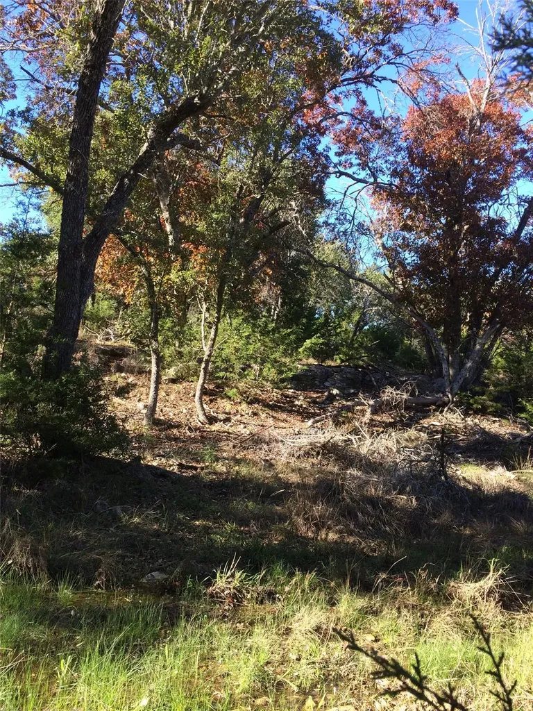 934 Beauchamp Road Dripping Springs TX 78620