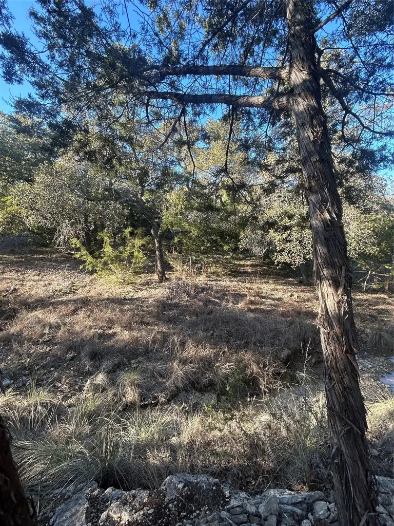 934 Beauchamp Road Dripping Springs TX 78620