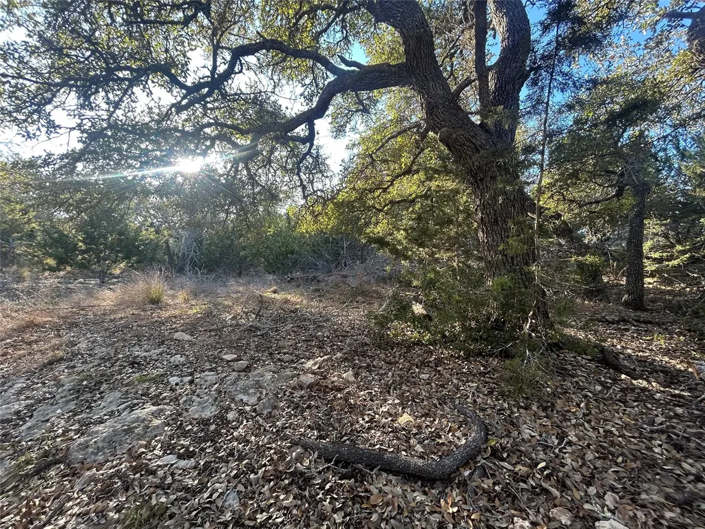 934 Beauchamp Road Dripping Springs TX 78620