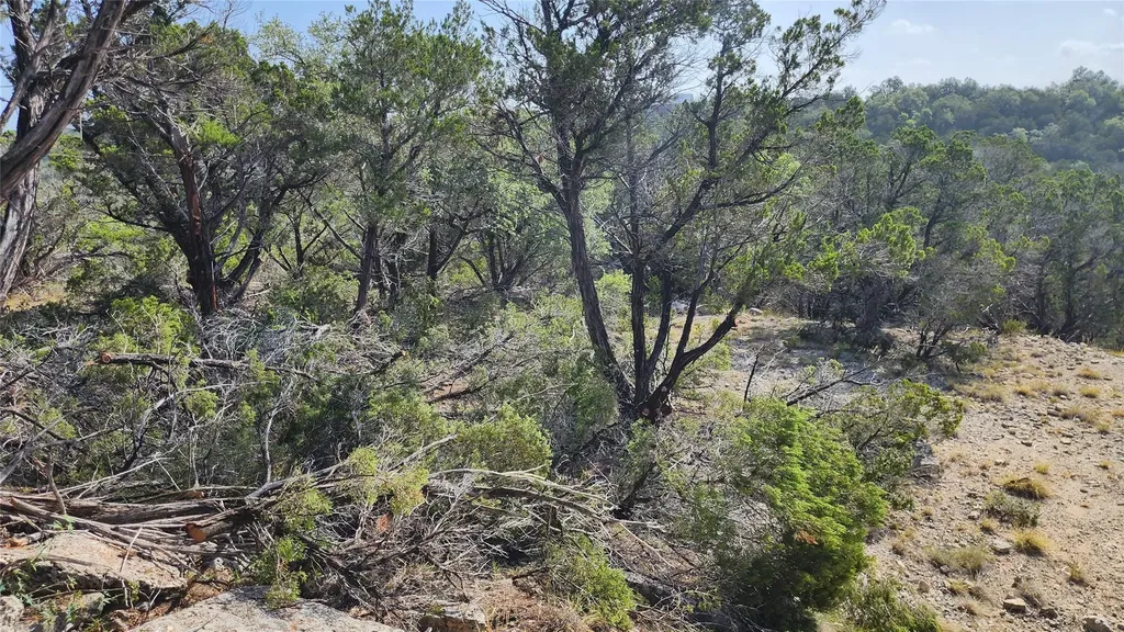 104 Stonegate Lane Dripping Springs TX 78620