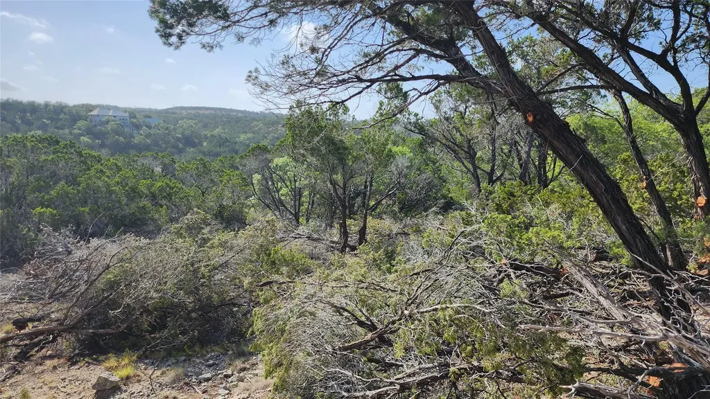 104 Stonegate Lane Dripping Springs TX 78620