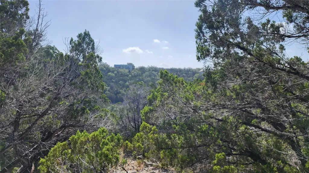 104 Stonegate Lane Dripping Springs TX 78620