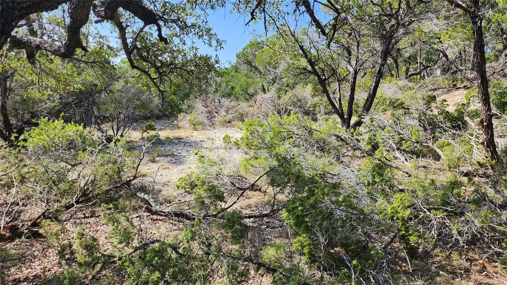 104 Stonegate Lane Dripping Springs TX 78620