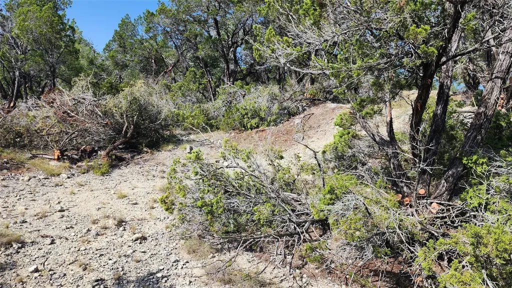 104 Stonegate Lane Dripping Springs TX 78620