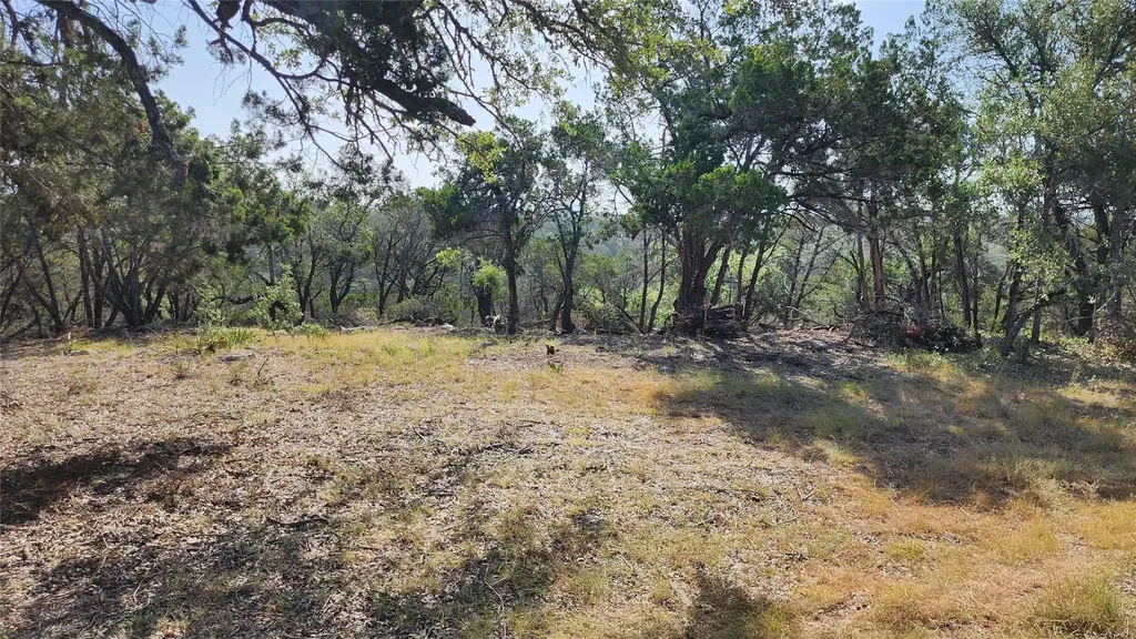 104 Stonegate Lane Dripping Springs TX 78620