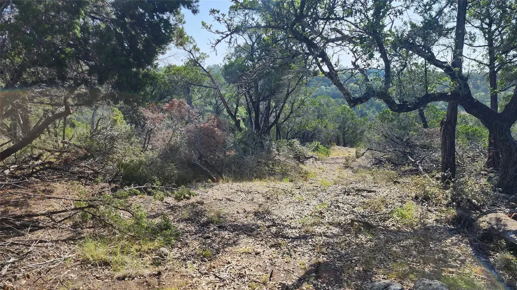 104 Stonegate Lane Dripping Springs TX 78620