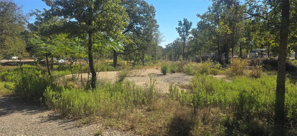 Tbd S Lot 23-a At Red Bud Trail Elgin TX 78621