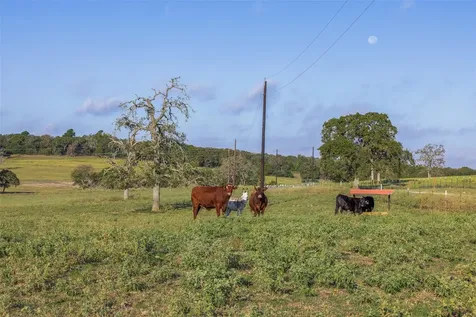 510 County Road 282 Cameron TX 76520