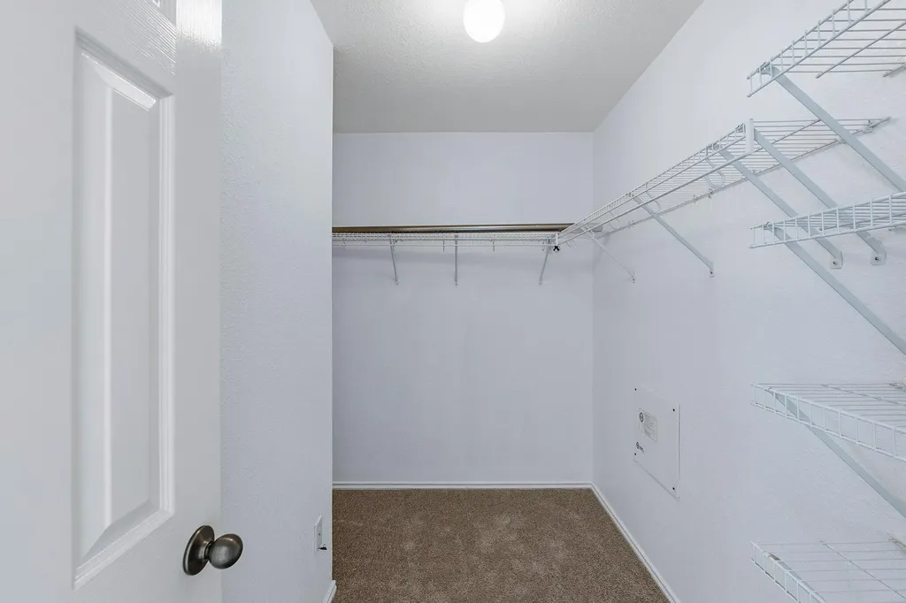 3904 Tapado Canyon Trail Round Rock TX 78681