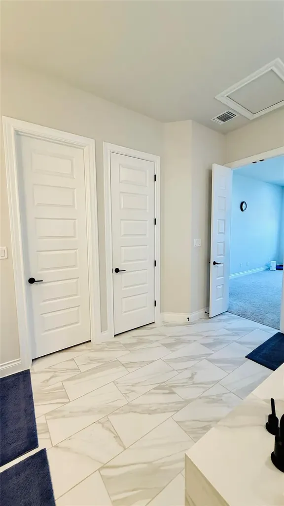 1304 Snowdrop Drive Georgetown TX 78628
