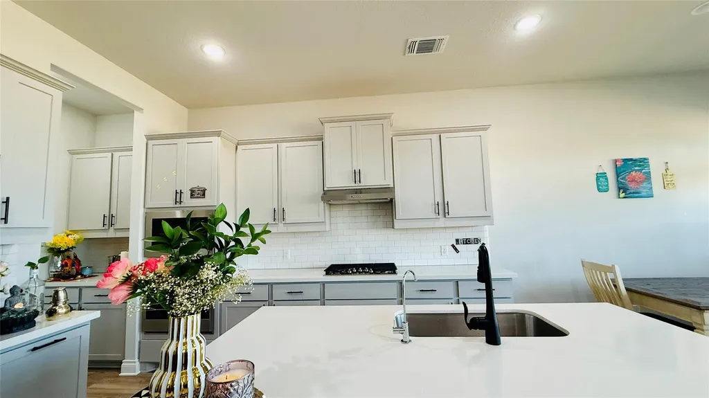 1304 Snowdrop Drive Georgetown TX 78628